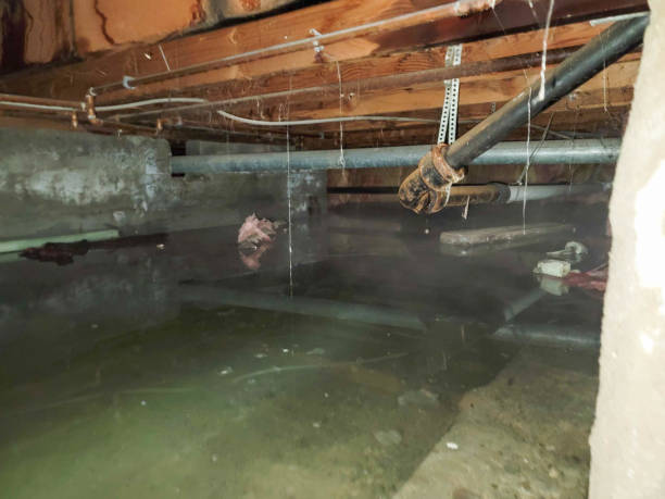 Reliable Pueblo, CO Water damage restoration Solutions