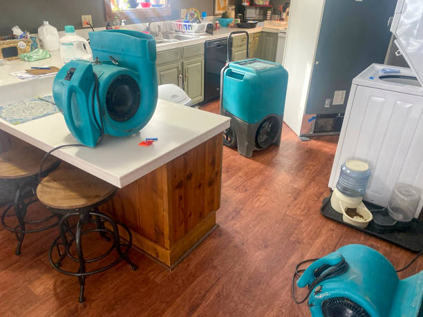 Best Flood damage cleanup  in Pueblo, CO
