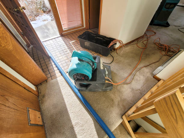 Best Water damage restoration near me  in Pueblo, CO