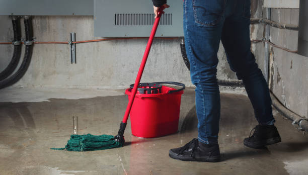 Best Water damage restoration process  in Pueblo, CO