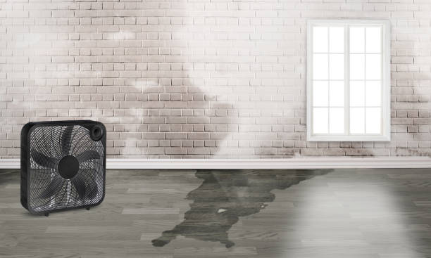 Water damage restoration process in Pueblo, CO