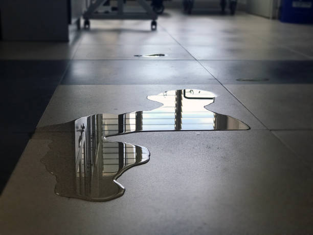 Best Commercial water damage restoration  in Pueblo, CO