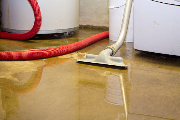 Best Sewage cleanup and water damage restoration  in Pueblo, CO