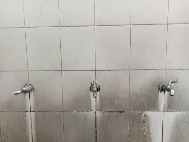  Pueblo, CO Water damage restoration Pros
