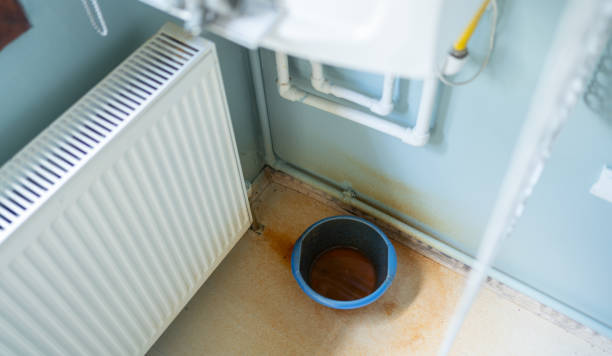 Best Residential water damage restoration  in Pueblo, CO