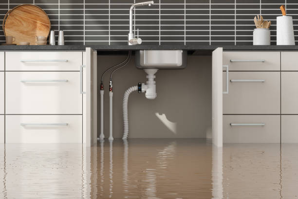 Best Fire Damage Restoration  in Pueblo, CO