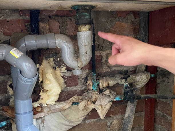 Best Residential water damage restoration  in Pueblo, CO